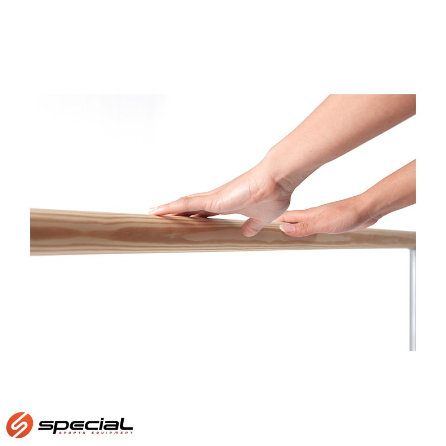 baletne-preČke-logo-1748864275